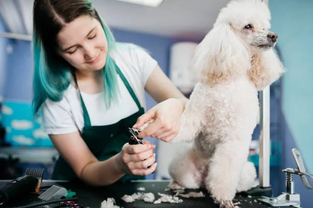 nail clipper for pets