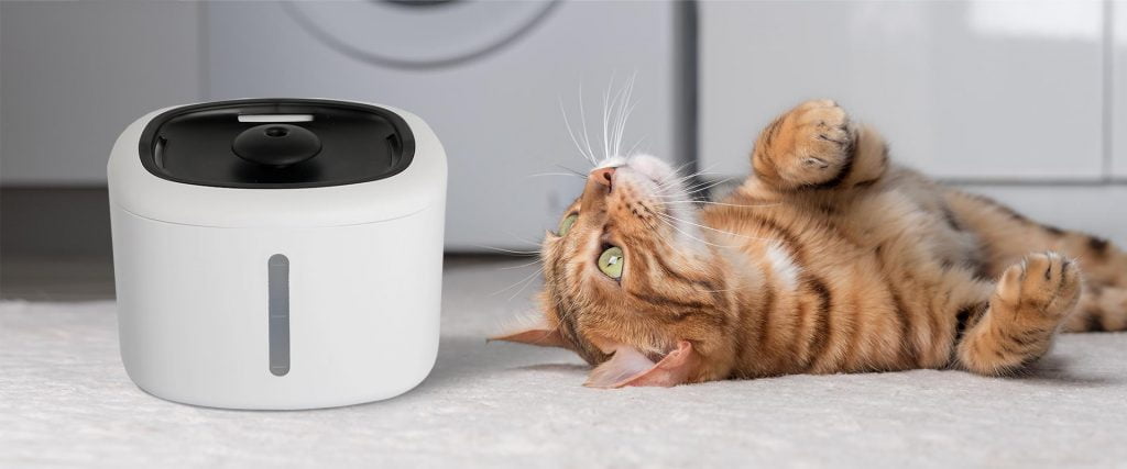 smart pet water dispenser